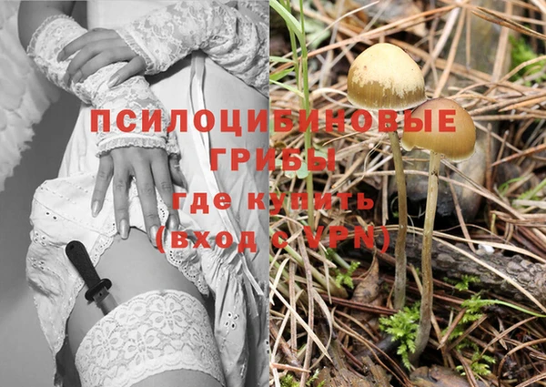 дмт Ладушкин