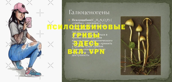 синтетический гашиш Лабытнанги