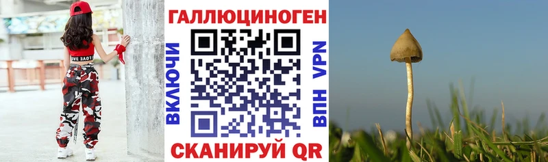 Псилоцибиновые грибы прущие грибы  Купить закладки  Котово 